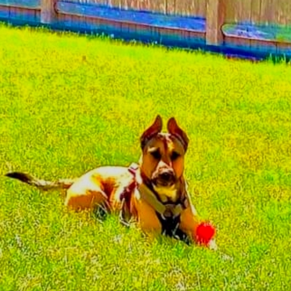 Meet your Posher, Stan - Picture 1 of 1